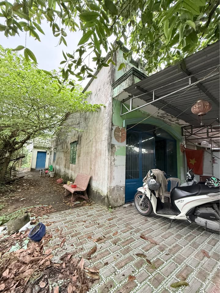 Nhà Phạm Văn Thưởng, Mỹ Trà, Cao Lãnh 300m² giá 1 tỷ - Phù hợp cho gia đình và đầu tư!