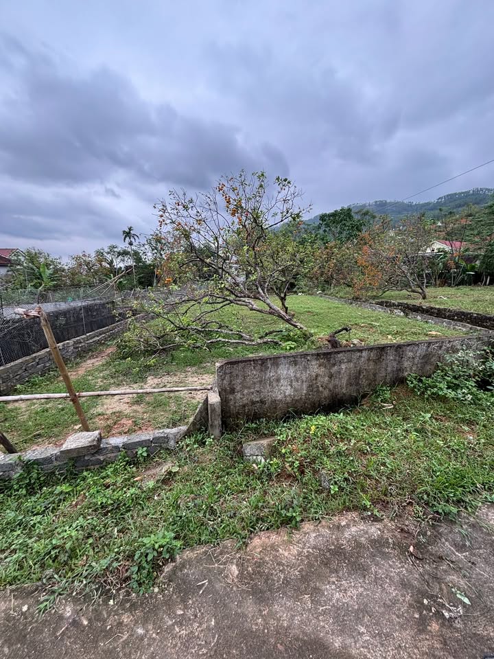 Đất nền 297m² tại xã Nam Anh, huyện Nam Đàn giá chỉ 1.485 tỷ - Đầu tư sinh lời ngay!