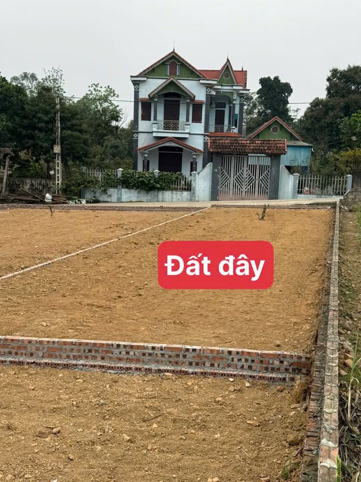 Đất nền 123m² tại Thôn Đông Phượng, Ba Vì chỉ 1.1 tỷ - Đường thông ô tô tránh nhau!