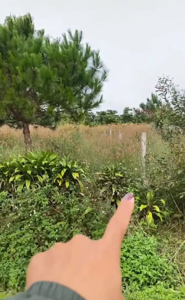 Đất nền Lộc Quảng, Bảo Lâm 294m² giá 800 triệu - Lô góc 2 mặt tiền đường!