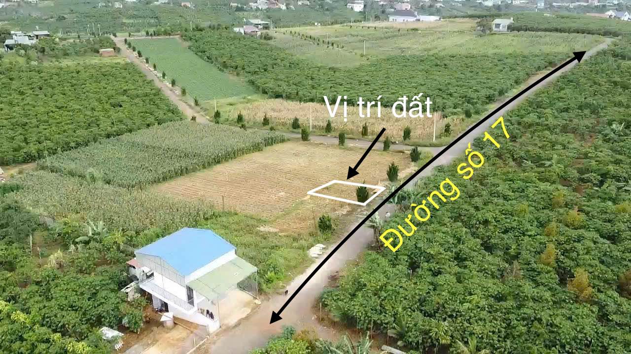 Đất nền xã Lộc Quảng 118m² giá 550 triệu - Mặt tiền đường số 17, chính chủ bán!