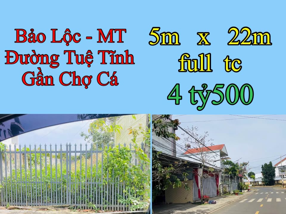 Đất mặt tiền Tuệ Tĩnh Bảo Lộc 110m² giá 4.5 tỷ - Khu kinh doanh sầm uất!