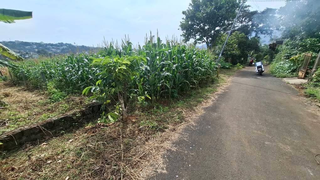 Đất nền B'Lao Bảo Lộc 253m² - Hẻm nhựa rộng, thổ cư 100m²!