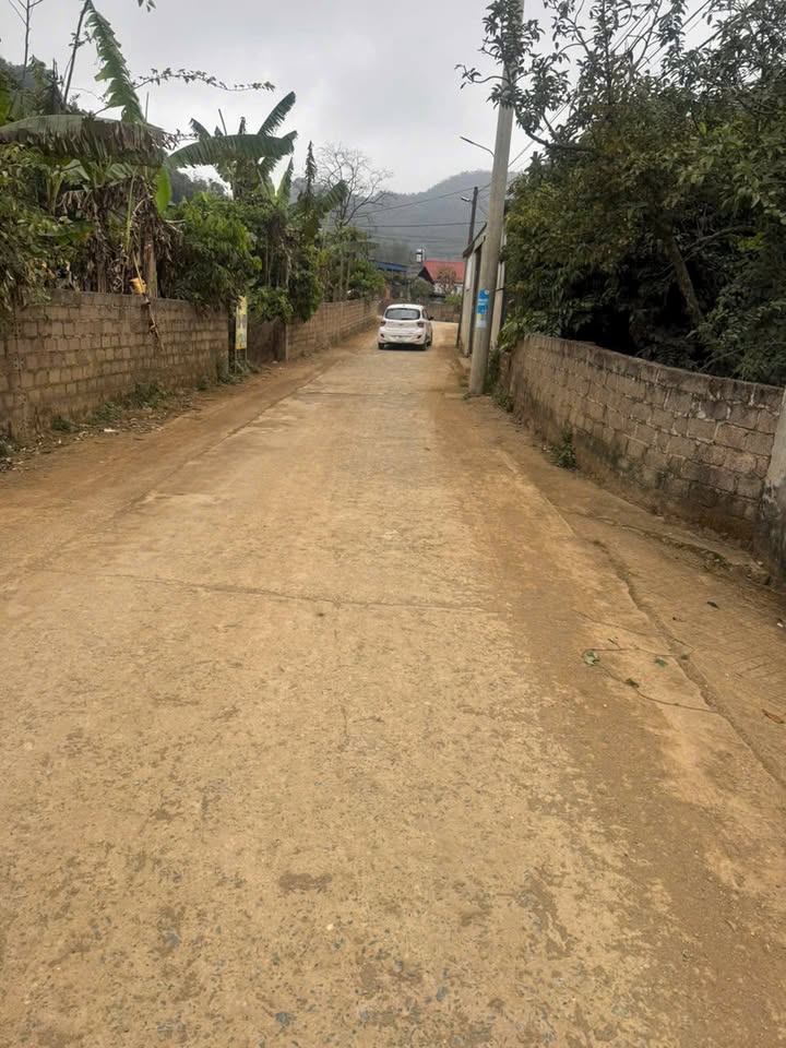 Đất thổ cư 100% tại Thảo Nguyên Mộc Châu 260,1m² giá 4.9 tỷ - Sổ đỏ sang tên ngay!