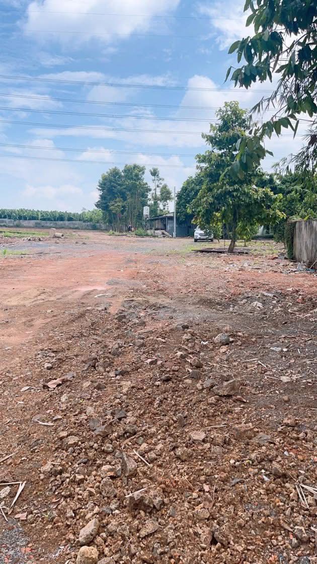 Đất nền Farm 1,3ha Vĩnh An, Vĩnh Cửu giá 15 tỷ - Đầu tư lý tưởng!