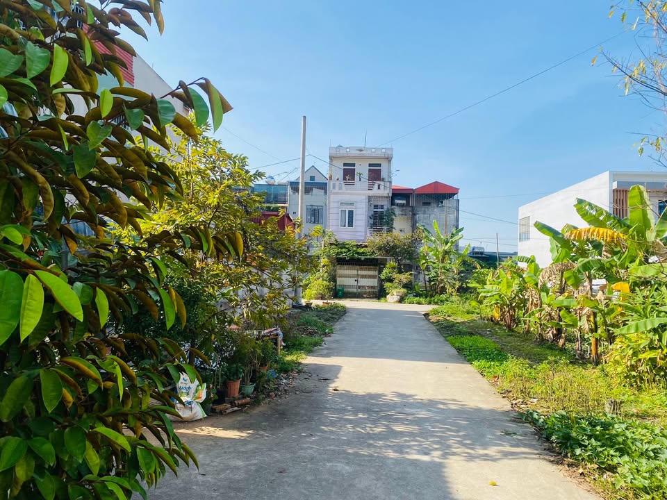 Đất nền Định Liên, Yên Định, 125m² chỉ 1 tỷ - Cơ hội đầu tư sinh lời!