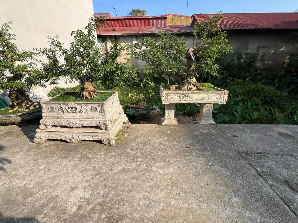 Đất nền Bình Minh Thanh Oai 63m² giá 700 triệu - Đầu tư sinh lời ngay!