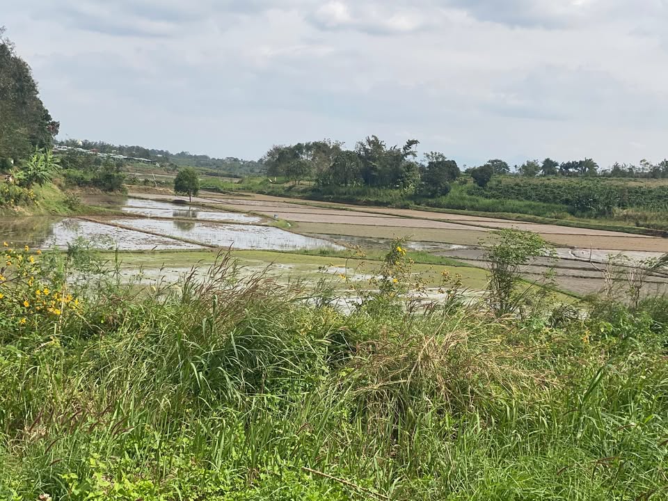 Đất nền 4.000m² Hẻm Nguyễn Chí Thanh, Pleiku - Giá chỉ 2.5 tỷ, cơ hội đầu tư tuyệt vời!