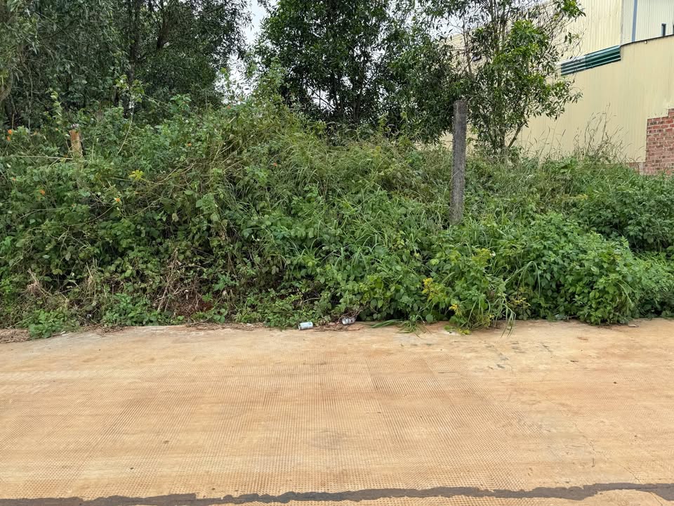 Nhà bán Hẻm chính Hoàng Sa, Diên Hồng, 195m² - Giá chỉ 800 triệu