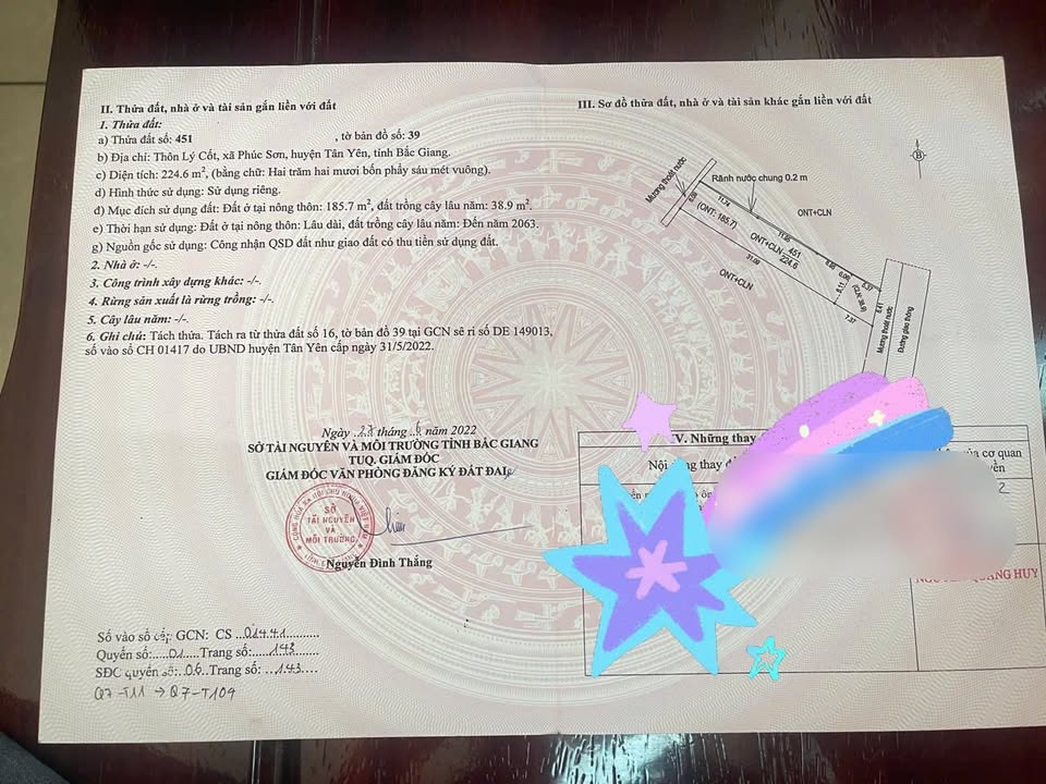 Đất nền Phúc Sơn, Tân Yên 224m² giá 1 tỷ - Cơ hội đầu tư hấp dẫn!