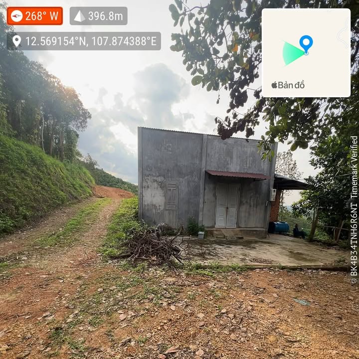 Đất nông nghiệp Ea T’ling Cư Jút 24000m² giá 1.65 tỷ - Chốt nhanh cơ hội đầu tư!