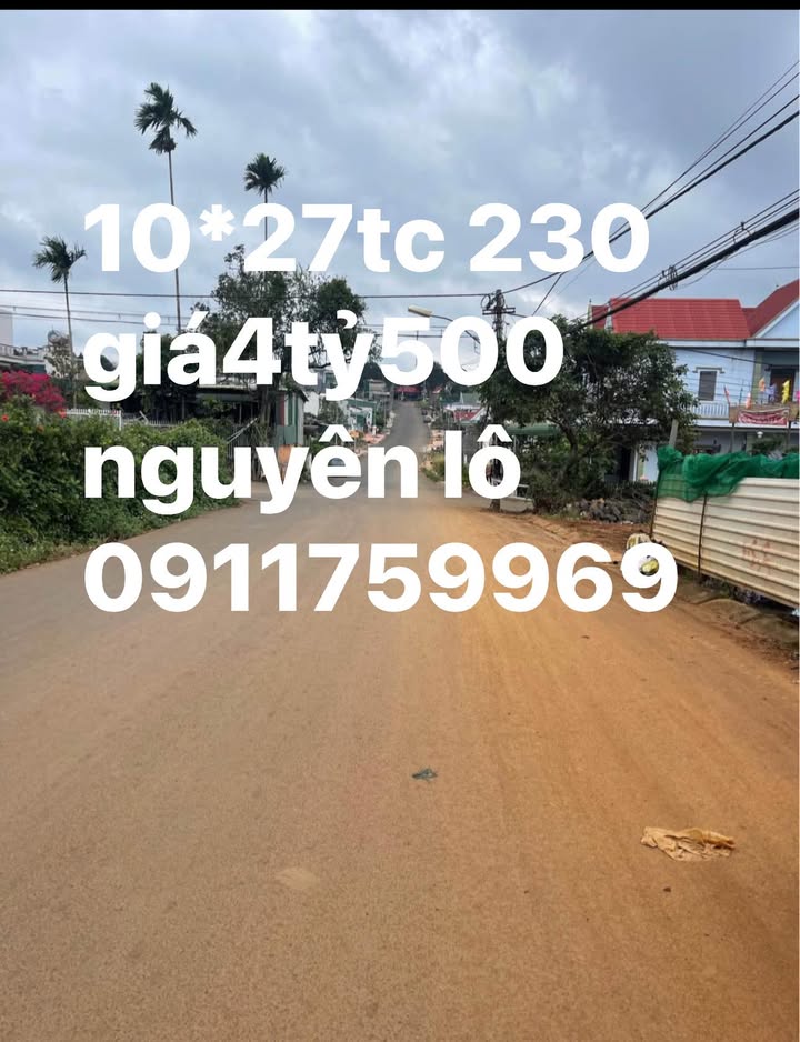 Đất mặt tiền đường Lê Lợi Đắk Mil 270m² giá 4.5 tỷ - Cơ hội đầu tư tốt!