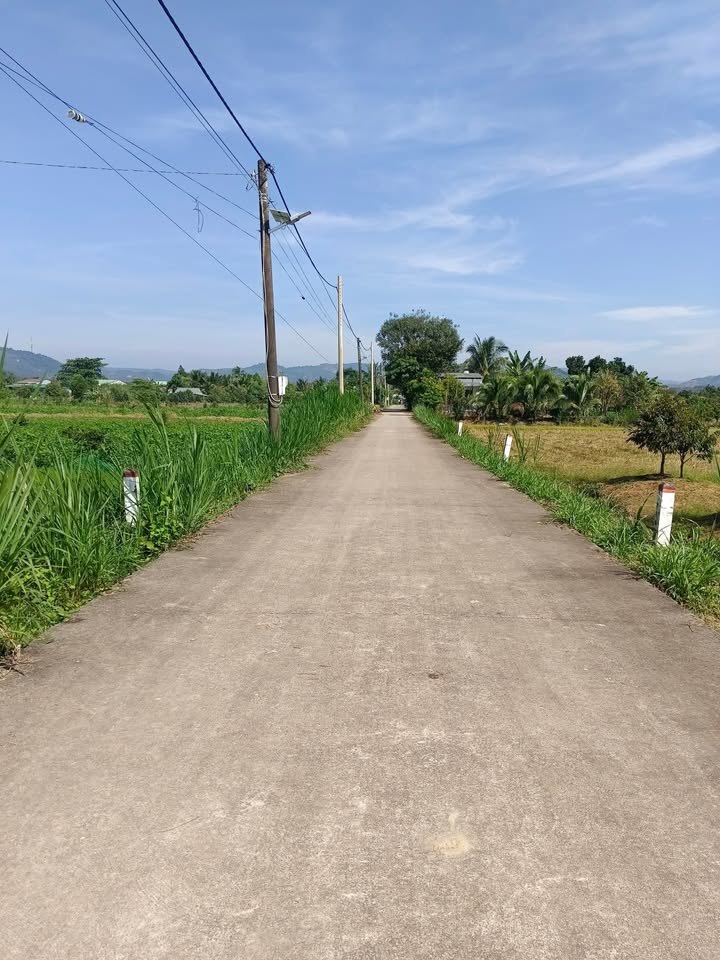 Đất nền 378m² xã Quốc Oai, Đạ Tẻh chỉ 290 triệu - Đường bê tông thông thoáng!