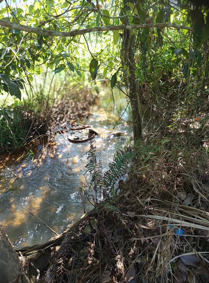 Đất nền Đạ Pal 4000m² giá 900 triệu - Sổ đỏ chính chủ, 2 mặt đường bê tông