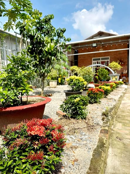 Nhà vườn Long Tân Đất Đỏ 1.000m² giá 2.79 tỷ - Không thể bỏ lỡ!