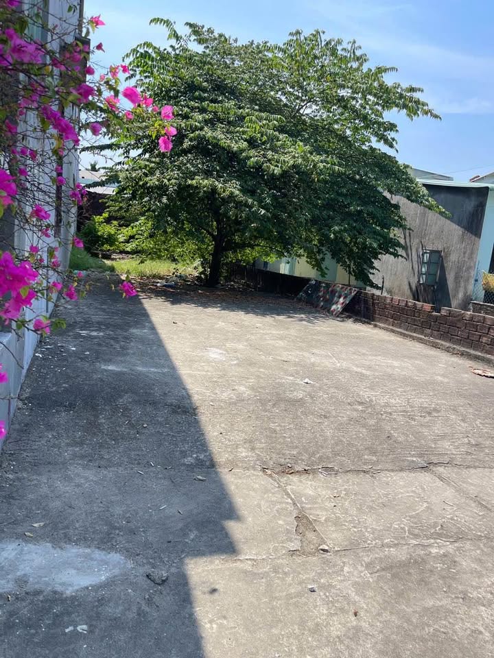 Đất ở An Phú, Tam Kỳ 125m² giá chỉ 900 triệu - Cơ hội đầu tư tuyệt vời!