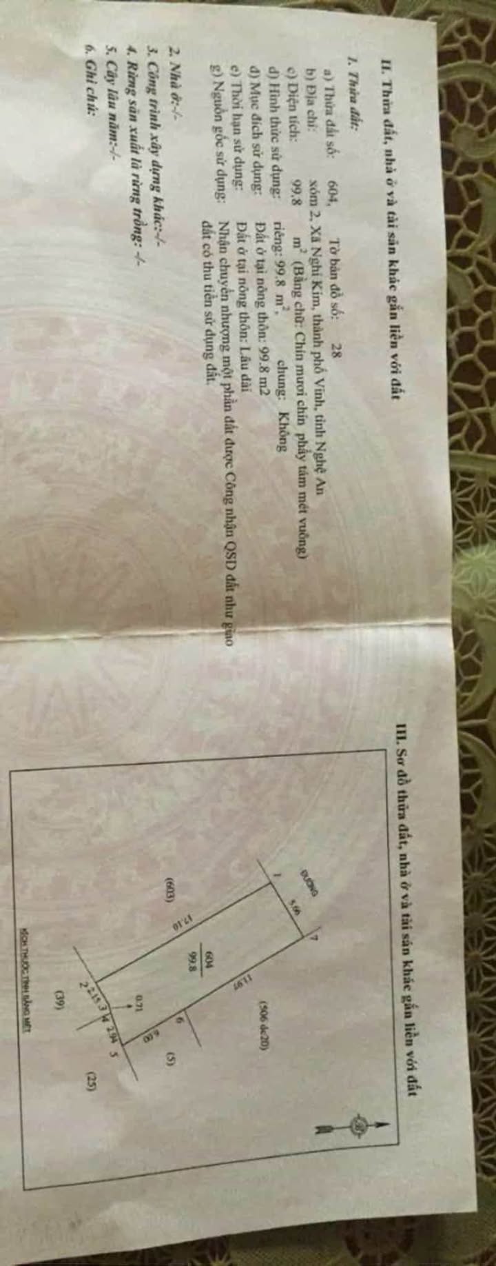 Đất nền Nghi Kim 100m² giá 2 tỷ - Sổ đỏ chính chủ, ô tô vào thoải mái!