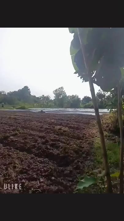 Đất nền 9860m² tại xã Phú Vinh, huyện Định Quán - Cơ hội đầu tư sinh lời!