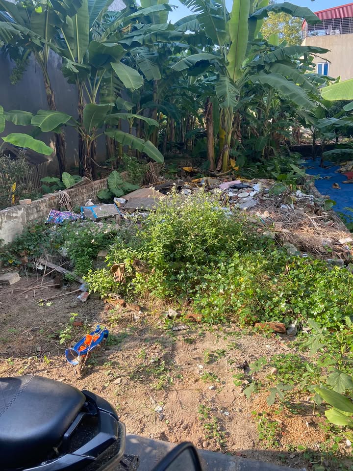 Đất Vân Nội Đông Anh 70m² giá 4 tỷ - Sổ đỏ chính chủ, đầu tư sinh lời!