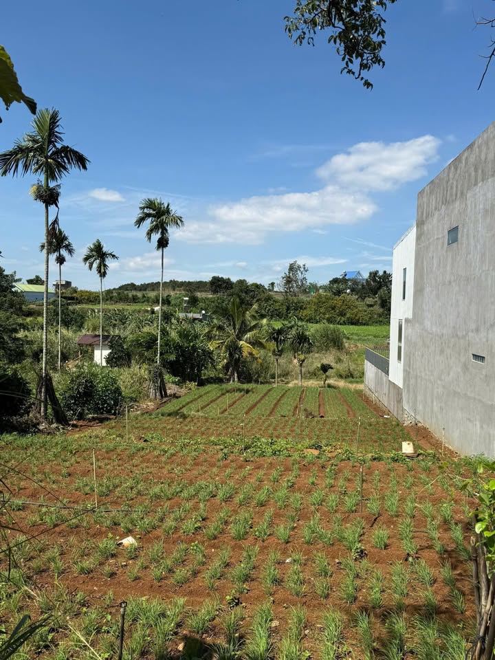 Lô đất 279m² tại Liên Hiệp, Đức Trọng - Giá chỉ 2.05 tỷ, vị trí đắc địa!