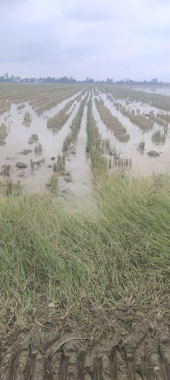 Đất nông nghiệp Vĩnh Phú, Tri Tôn 14.000m² giá chỉ 1.96 tỷ - Mặt tiền kênh thuận lợi!