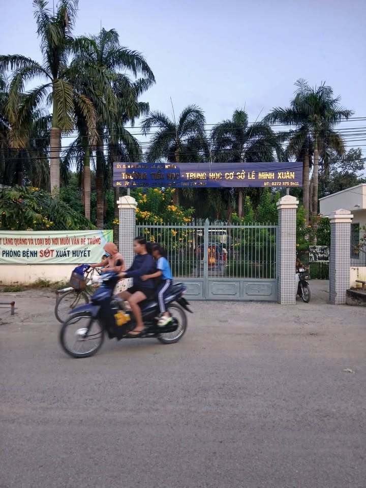 Đất thổ cư 100% mặt tiền đường nhựa xã Tân Mỹ, Long An - Giá hấp dẫn 2 tỷ