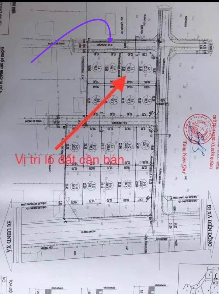 Đất đấu giá xóm 4, Diễn Quảng 196.06m² giá 2.1 tỷ - Đầu tư sinh lời ngay!