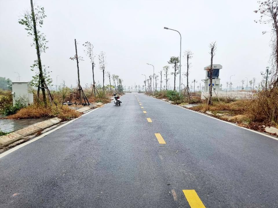 Đất phân lô Mai Lâm Đông Anh 56m² giá 8.9 tỷ - Kinh doanh tiềm năng ngay mặt đường!