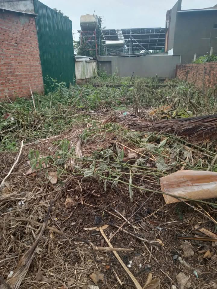 Đất nền tại chợ Đạt Lý, phường Tân An, 89m² chỉ 1.2 tỷ - Vị trí lý tưởng cho định cư!