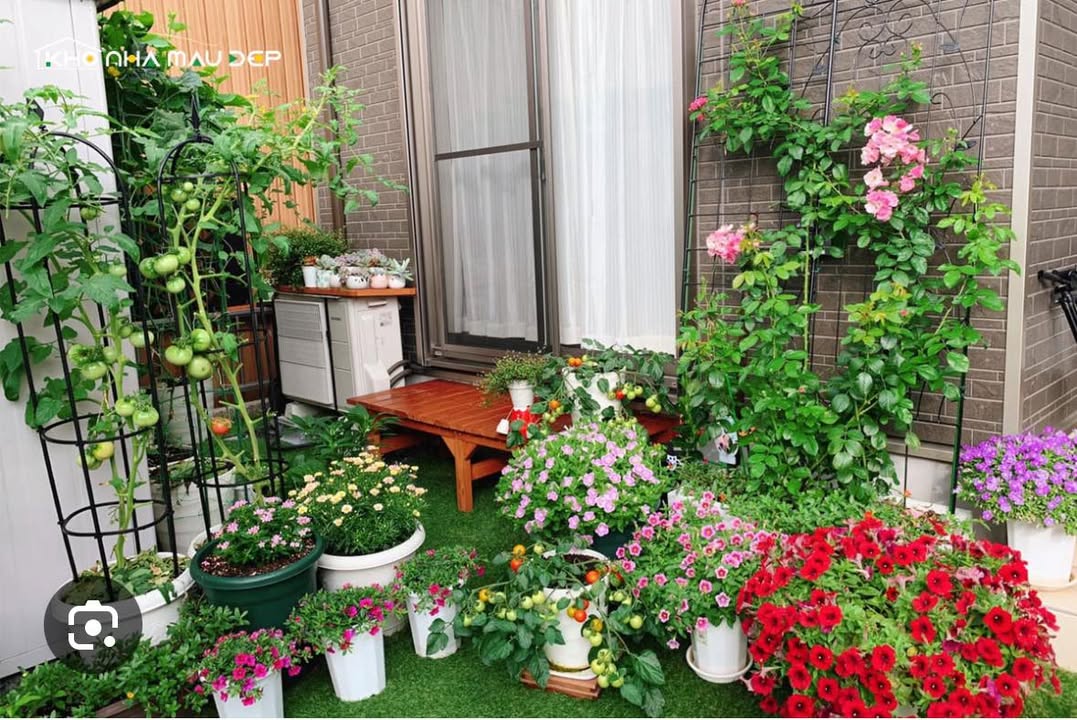 Nhà nguyên căn cho thuê đường Mẹ Thứ, quận Cẩm Lệ - Không gian thoáng mát, vị trí thuận lợi!