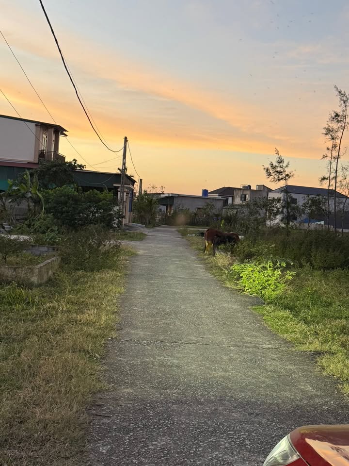 Đất nền Tượng Sơn, Thạch Hà 169m² giá 1.5 tỷ - Sát dự án Hà Thanh!