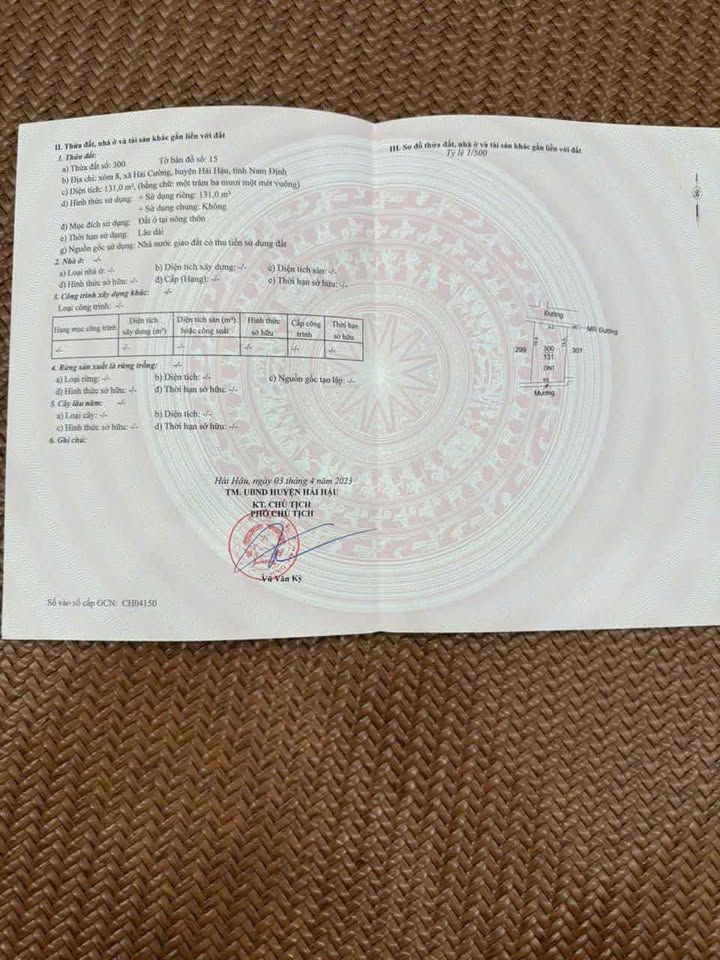 Đất thổ cư xóm 8, xã Hải Cường, 130m² giá 850 triệu - Cơ hội đầu tư tốt!