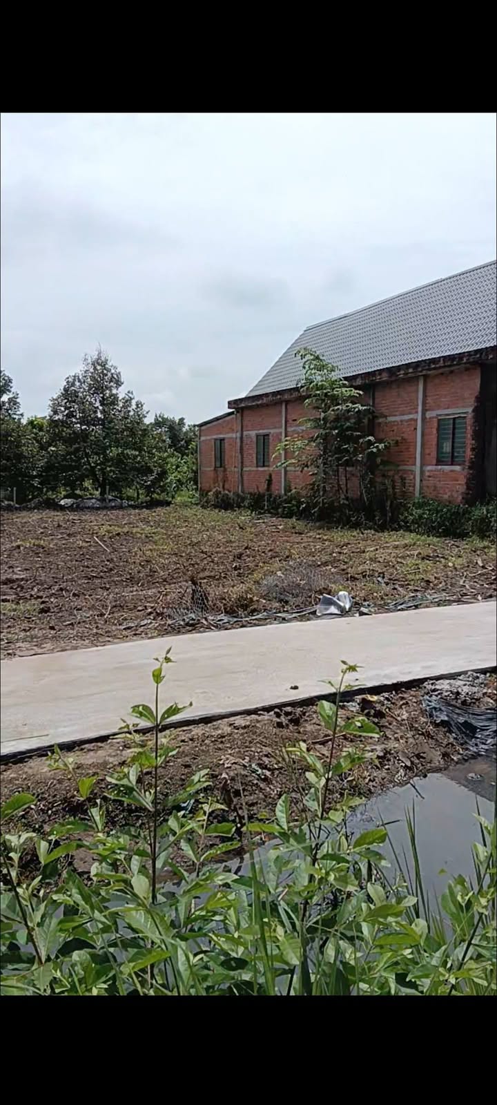 Đất nền Nhị Quý, Cai Lậy 174m² giá 420 triệu - Sổ đỏ chính chủ ngay chợ!