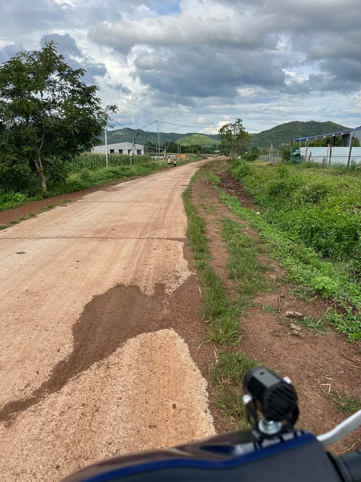 Đất farm 5ha tại xã Ea H'leo, Đắk Lắk giá 4 tỷ - Sổ đỏ chính chủ, mặt tiền 387m