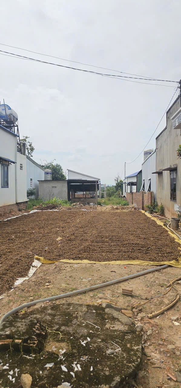 Nhà mặt tiền Lộc An 450m² giá 1.9 tỷ - Kinh doanh thuận lợi!