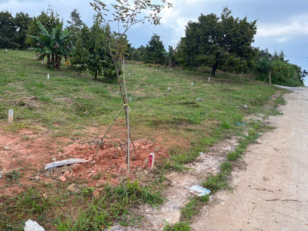 Đất nền Lộc Nam Bảo Lộc 210m² giá 550 triệu - Đầu tư sinh lời ngay!