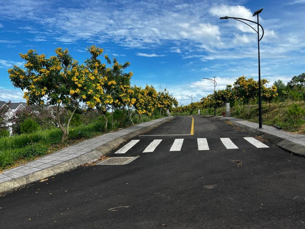 Đất nghỉ dưỡng Bảo Lộc 331m² giá 4.96 tỷ - Hạ tầng hoàn thiện, sổ hồng riêng!