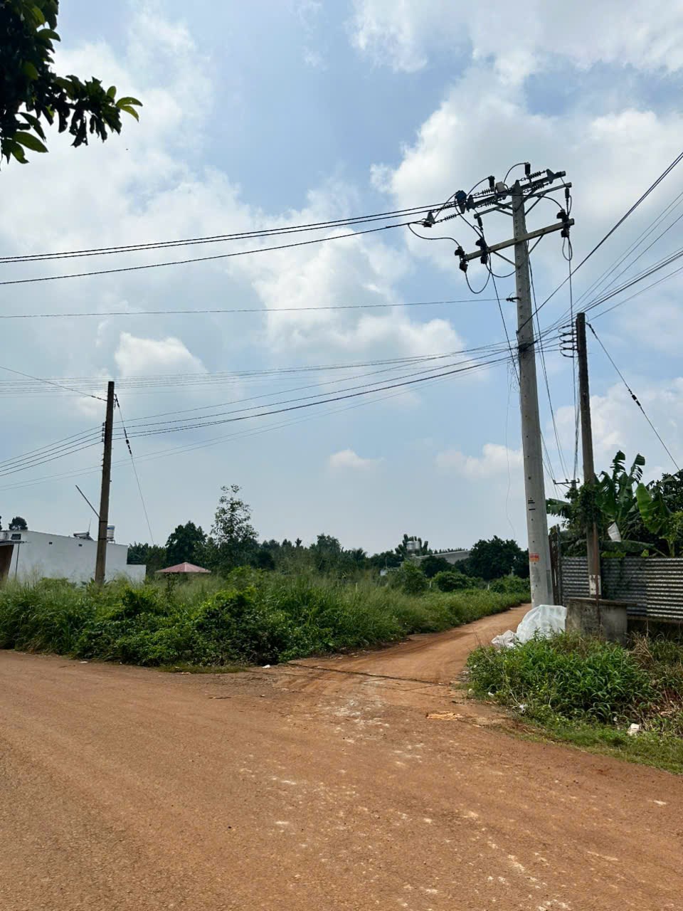 Đất mặt tiền Nguyễn Thế Toàn, Gia Kiệm, 161m² giá 1.2 tỷ - Đầu tư sinh lời ngay!