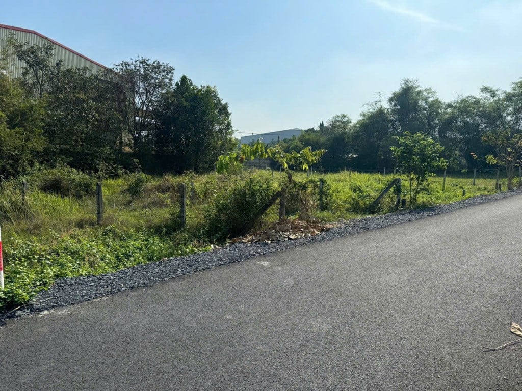 Đất nền Củ Chi 99m² giá 1.29 tỷ - Mặt tiền đường nhựa, khu dân cư đông đúc!