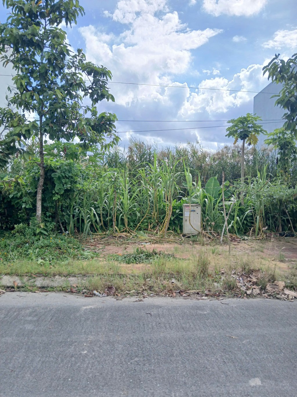 Đất nền mặt tiền đường A4 KDC Tân Phú, Cần Thơ 90m² giá 2.15 tỷ - Thương lượng ngay!