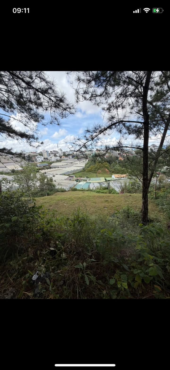 Lô đất Cam Ly Đà Lạt 1.141,3m² giá 8 tỷ - View thoáng đẹp