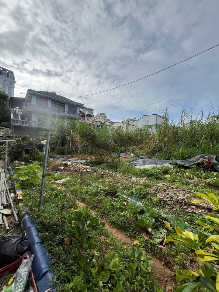 Bán đất Phạm Hồng Thái, Đà Lạt 103m² giá 12 tỷ - Tiềm năng kinh doanh cao!