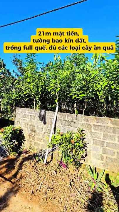 Lô đất nghỉ dưỡng 800m² Hưng Long, Yên Lập chỉ vài trăm triệu - Bám hồ siêu đẹp