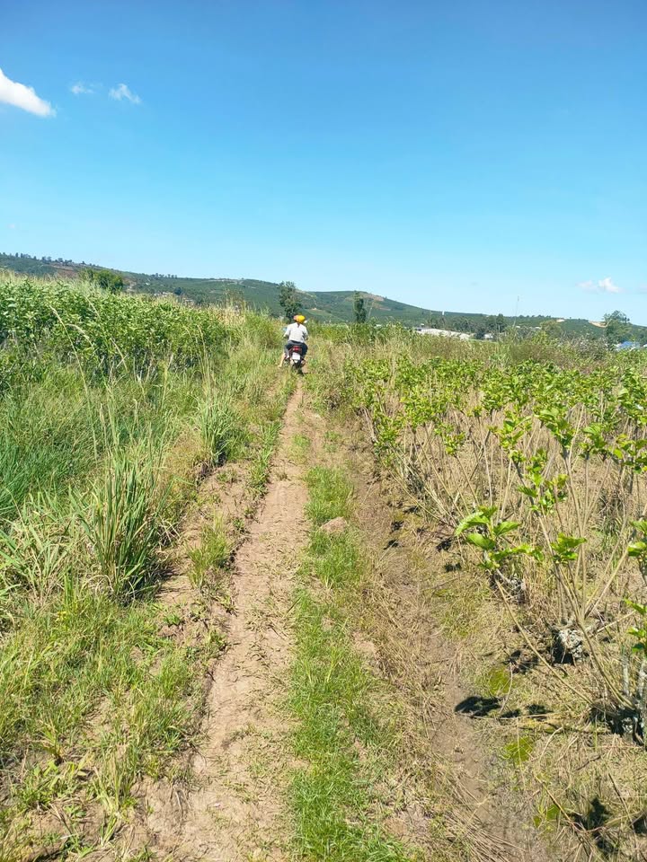 Đất nông nghiệp Tân Văn 7200m² giá 660 triệu - Đầu tư tiềm năng!