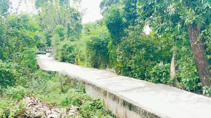 Đất nền xã Bình Tú, Thăng Bình, Quảng Nam 1000m² - Sổ hồng chính chủ, giá thỏa thuận!