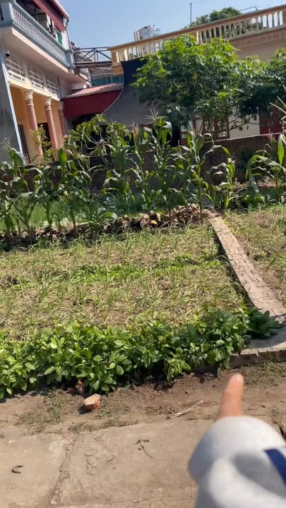 Đất nền Hồng Quang, Ân Thi 50,6m² giá 1.4 tỷ - Cơ hội đầu tư tuyệt vời!