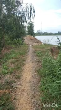 Đất nông nghiệp 2300m² xã Tân Hiệp, Thạnh Hóa, Long An - Quy hoạch thổ cư