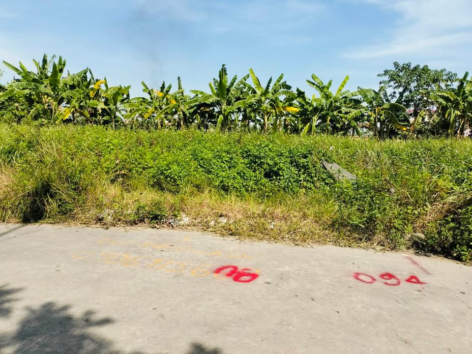 Đất TĐC Đồng Hòa, Kiến An 75m² giá 3 tỷ - Hướng Tây vượng khí!