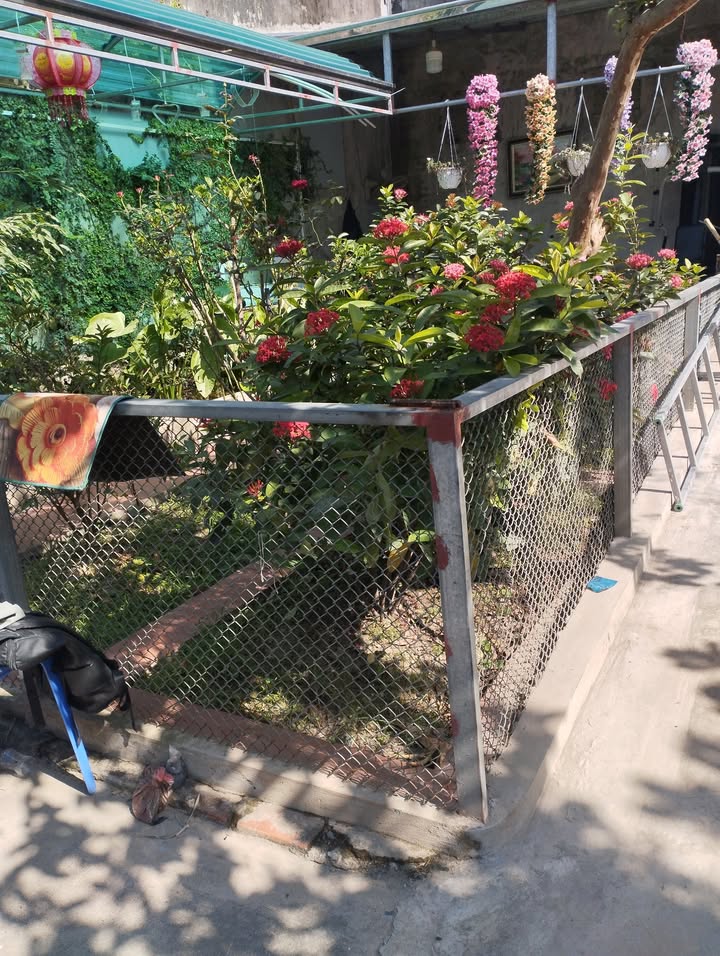 Đất nền Tả Thanh Oai 37m² giá 4 tỷ - Lô góc siêu thoáng, ô tô đỗ thoải mái!