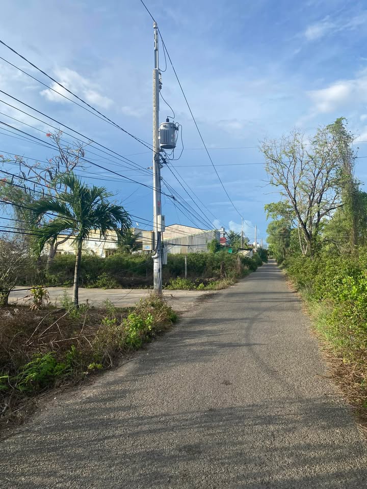 Đất nền Đặng Văn Tiếu, phường Bạc Liêu, 250m² giá 590 triệu - Sổ hồng chính chủ, thương lượng ngay!